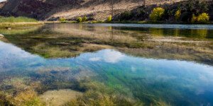 The famous fishery on the Green River near Dutch John, below the Flaming Gorge Dam.
