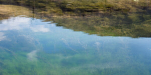 The famous fishery on the Green River near Dutch John, below the Flaming Gorge Dam.