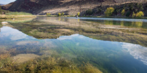 The famous fishery on the Green River near Dutch John, below the Flaming Gorge Dam.
