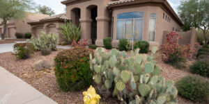 New residential developments in North Phoenix have scrapped lawns for desert landscaping, greatly reducing water use.