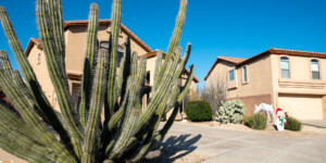 New residential developments in North Phoenix have scrapped lawns for desert landscaping, greatly reducing water use.