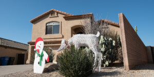 New residential developments in North Phoenix have scrapped lawns for desert landscaping, greatly reducing water use.