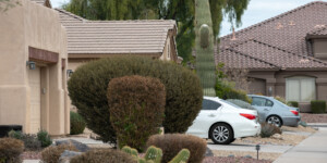New residential developments in North Phoenix have scrapped lawns for desert landscaping, greatly reducing water use.