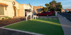 New residential developments in North Phoenix have scrapped lawns for desert landscaping and astroturf, greatly reducing water use.