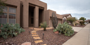 New residential developments in North Phoenix have scrapped lawns for desert landscaping, greatly reducing water use.