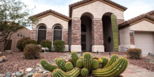 New residential developments in North Phoenix have scrapped lawns for desert landscaping, greatly reducing water use.