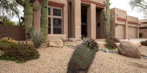 New residential developments in North Phoenix have scrapped lawns for desert landscaping, greatly reducing water use.