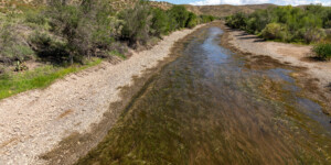 The Rio Grande, downstream of Elephant Butte Reservoir, near Truth or Consequences, N.M., in August 2022.
©Mitch Tobin Usage rights are granted for editorial and nonprofit purposes only. No commercial or re-sale rights are granted without permission of the photographer. https://waterdesk.org/multimedia/license/