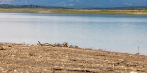 Heron Lake, a reservoir that stores water for the San Juan-Chama Project in northern New Mexico, on August 19, 2022.
© Mitch Tobin. Usage rights are granted for editorial and nonprofit purposes only. No commercial or re-sale rights are granted without permission of the photographer. Full use and licensing information can be found here: https://waterdesk.org/multimedia/license