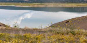 Heron Lake, a reservoir that stores water for the San Juan-Chama Project in northern New Mexico, on August 19, 2022.
© Mitch Tobin. Usage rights are granted for editorial and nonprofit purposes only. No commercial or re-sale rights are granted without permission of the photographer. Full use and licensing information can be found here: https://waterdesk.org/multimedia/license