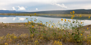 Heron Lake, a reservoir that stores water for the San Juan-Chama Project in northern New Mexico, on August 19, 2022.
© Mitch Tobin. Usage rights are granted for editorial and nonprofit purposes only. No commercial or re-sale rights are granted without permission of the photographer. Full use and licensing information can be found here: https://waterdesk.org/multimedia/license