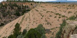 Heron Lake, a reservoir that stores water for the San Juan-Chama Project in northern New Mexico, on August 19, 2022.
© Mitch Tobin. Usage rights are granted for editorial and nonprofit purposes only. No commercial or re-sale rights are granted without permission of the photographer. Full use and licensing information can be found here: https://waterdesk.org/multimedia/license