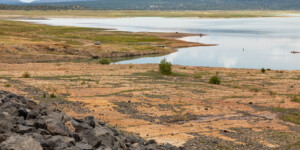 Heron Lake, a reservoir that stores water for the San Juan-Chama Project in northern New Mexico, on August 19, 2022.
© Mitch Tobin. Usage rights are granted for editorial and nonprofit purposes only. No commercial or re-sale rights are granted without permission of the photographer. Full use and licensing information can be found here: https://waterdesk.org/multimedia/license