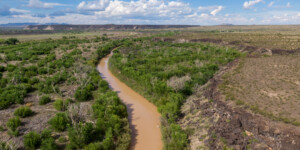 Drone-captured view of the Rio Grande near Fort Craig, New Mexico, on August 22, 2022. ©Mitch Tobin Usage rights are granted for editorial and nonprofit purposes only. No commercial or re-sale rights are granted without permission of the photographer. https://waterdesk.org/multimedia/license