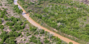 Drone-captured view of the Rio Grande near Fort Craig, New Mexico, on August 22, 2022. ©Mitch Tobin Usage rights are granted for editorial and nonprofit purposes only. No commercial or re-sale rights are granted without permission of the photographer. https://waterdesk.org/multimedia/license