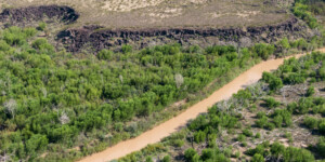 Drone-captured view of the Rio Grande near Fort Craig, New Mexico, on August 22, 2022. ©Mitch Tobin Usage rights are granted for editorial and nonprofit purposes only. No commercial or re-sale rights are granted without permission of the photographer. https://waterdesk.org/multimedia/license