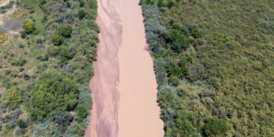 Drone-captured view of the Rio Grande near San Antonio, New Mexico, on August 23, 2022. ©Mitch Tobin Usage rights are granted for editorial and nonprofit purposes only. No commercial or re-sale rights are granted without permission of the photographer. https://waterdesk.org/multimedia/license