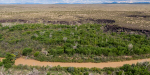 Drone-captured view of the Rio Grande near Fort Craig, New Mexico, on August 22, 2022. ©Mitch Tobin Usage rights are granted for editorial and nonprofit purposes only. No commercial or re-sale rights are granted without permission of the photographer. https://waterdesk.org/multimedia/license
