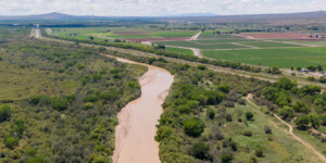 Drone-captured view of the Rio Grande near San Antonio, New Mexico, on August 23, 2022. ©Mitch Tobin Usage rights are granted for editorial and nonprofit purposes only. No commercial or re-sale rights are granted without permission of the photographer. https://waterdesk.org/multimedia/license