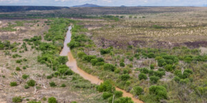 Drone-captured view of the Rio Grande near Fort Craig, New Mexico, on August 22, 2022. ©Mitch Tobin Usage rights are granted for editorial and nonprofit purposes only. No commercial or re-sale rights are granted without permission of the photographer. https://waterdesk.org/multimedia/license