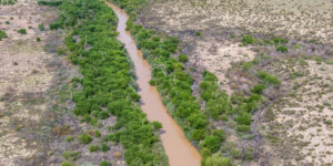 Drone-captured view of the Rio Grande near Fort Craig, New Mexico, on August 22, 2022. ©Mitch Tobin Usage rights are granted for editorial and nonprofit purposes only. No commercial or re-sale rights are granted without permission of the photographer. https://waterdesk.org/multimedia/license