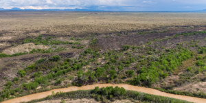 Drone-captured view of the Rio Grande near Fort Craig, New Mexico, on August 22, 2022. ©Mitch Tobin Usage rights are granted for editorial and nonprofit purposes only. No commercial or re-sale rights are granted without permission of the photographer. https://waterdesk.org/multimedia/license