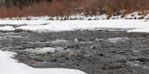 The Roaring Fork River on Colorado's Western Slope on December 23, 2020. © Mitch Tobin. Usage rights are granted for editorial and nonprofit purposes only. No commercial or re-sale rights are granted without permission of the photographer. Full use and licensing information can be found here: https://waterdesk.org/multimedia/license/
