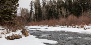 The Roaring Fork River on Colorado's Western Slope on December 23, 2020. © Mitch Tobin. Usage rights are granted for editorial and nonprofit purposes only. No commercial or re-sale rights are granted without permission of the photographer. Full use and licensing information can be found here: https://waterdesk.org/multimedia/license/