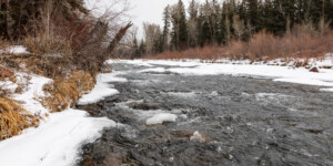 The Roaring Fork River on Colorado's Western Slope on December 23, 2020. © Mitch Tobin. Usage rights are granted for editorial and nonprofit purposes only. No commercial or re-sale rights are granted without permission of the photographer. Full use and licensing information can be found here: https://waterdesk.org/multimedia/license/
