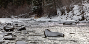 The Roaring Fork River on Colorado's Western Slope on December 23, 2020. © Mitch Tobin. Usage rights are granted for editorial and nonprofit purposes only. No commercial or re-sale rights are granted without permission of the photographer. Full use and licensing information can be found here: https://waterdesk.org/multimedia/license/