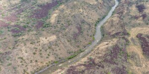 The Rio Grande near Taos Junction Bridge in northern New Mexico on June 29, 2023. ©Mitch Tobin Usage rights are granted for editorial and nonprofit purposes only. No commercial or re-sale rights are granted without permission of the photographer. https://waterdesk.org/multimedia/license/