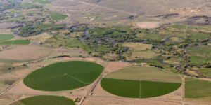 Aerial view of agriculture and Rio Grande in Colorado's San Luis Valley on May 23, 2024. Aerial support provided by LightHawk. ©Mitch Tobin Usage rights are granted for editorial and nonprofit purposes only. No commercial or re-sale rights are granted without permission of the photographer. https://waterdesk.org/multimedia/