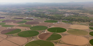 Aerial view of agriculture and Rio Grande in Colorado's San Luis Valley on May 23, 2024. Aerial support provided by LightHawk. ©Mitch Tobin Usage rights are granted for editorial and nonprofit purposes only. No commercial or re-sale rights are granted without permission of the photographer. https://waterdesk.org/multimedia/