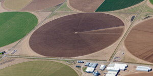 Aerial view of agriculture and Rio Grande in Colorado's San Luis Valley on May 23, 2024. Aerial support provided by LightHawk. ©Mitch Tobin Usage rights are granted for editorial and nonprofit purposes only. No commercial or re-sale rights are granted without permission of the photographer. https://waterdesk.org/multimedia/