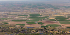 Aerial view of agriculture and Rio Grande in Colorado's San Luis Valley on May 23, 2024. Aerial support provided by LightHawk. ©Mitch Tobin Usage rights are granted for editorial and nonprofit purposes only. No commercial or re-sale rights are granted without permission of the photographer. https://waterdesk.org/multimedia/