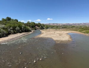 The Colorado River flows through Las Colonias Park in Grand Junction, Colo. on April 22, 2026. The river reached an extremely low level due to heavy diversion upstream and record low snowpack. © Luke Runyon. Usage rights are granted for editorial and nonprofit purposes only. No commercial or re-sale rights are granted without permission of the photographer.