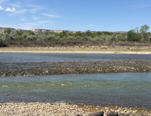 The Colorado River reached an extremely low level on April 22, 2026, shown here near Dos Rios Park in Grand Junction, Colo. Record low winter snowpack and heavy diversion in the agricultural Grand Valley contributed to the low flows. © Luke Runyon. Usage rights are granted for editorial and nonprofit purposes only. No commercial or re-sale rights are granted without permission of the photographer.