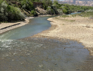 The Colorado River flows through Las Colonias Park in Grand Junction, Colo. on April 22, 2026. The river reached an extremely low level due to heavy diversion upstream and record low snowpack. © Luke Runyon. Usage rights are granted for editorial and nonprofit purposes only. No commercial or re-sale rights are granted without permission of the photographer.