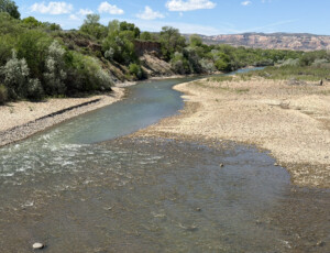 The Colorado River flows through Las Colonias Park in Grand Junction, Colo. on April 22, 2026. The river reached an extremely low level due to heavy diversion upstream and record low snowpack. © Luke Runyon. Usage rights are granted for editorial and nonprofit purposes only. No commercial or re-sale rights are granted without permission of the photographer.