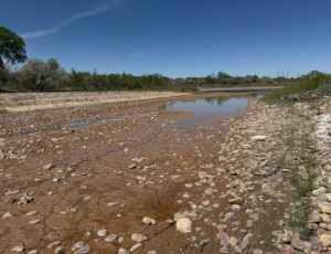 Side channels on the Colorado River ran dry early during spring runoff on April 22, 2026. Cobble bars and muddy banks emerged as the river receded near Dos Rios Park in Grand Junction, Colo. © Luke Runyon. Usage rights are granted for editorial and nonprofit purposes only. No commercial or re-sale rights are granted without permission of the photographer.