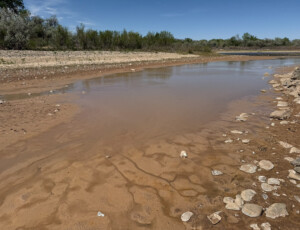 Side channels on the Colorado River ran dry early during spring runoff on April 22, 2026. Cobble bars and muddy banks emerged as the river receded near Dos Rios Park in Grand Junction, Colo. © Luke Runyon. Usage rights are granted for editorial and nonprofit purposes only. No commercial or re-sale rights are granted without permission of the photographer.