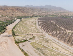 Drone views of the Rio Grande and surrounding farmland near Las Cruces, New Mexico, on March 27, 2026. ©Mitch Tobin Usage rights are granted for editorial and nonprofit purposes only. No commercial or re-sale rights are granted without permission of the photographer.