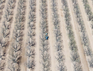 Drone views of the Rio Grande and surrounding farmland near Las Cruces, New Mexico, on March 27, 2026. ©Mitch Tobin Usage rights are granted for editorial and nonprofit purposes only. No commercial or re-sale rights are granted without permission of the photographer.