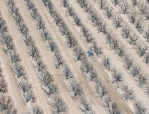 Drone views of the Rio Grande and surrounding farmland near Las Cruces, New Mexico, on March 27, 2026. ©Mitch Tobin Usage rights are granted for editorial and nonprofit purposes only. No commercial or re-sale rights are granted without permission of the photographer.