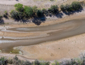 Drone view of the Rio Grande near Caballo Reservoir in southern New Mexico, on March 27, 2026. ©Mitch Tobin Usage rights are granted for editorial and nonprofit purposes only. No commercial or re-sale rights are granted without permission of the photographer.