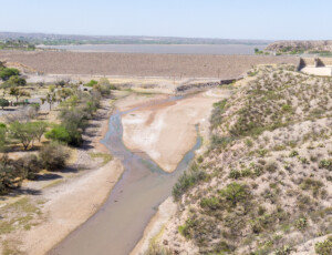Drone view of the Rio Grande near Caballo Reservoir in southern New Mexico, on March 27, 2026. ©Mitch Tobin Usage rights are granted for editorial and nonprofit purposes only. No commercial or re-sale rights are granted without permission of the photographer.
