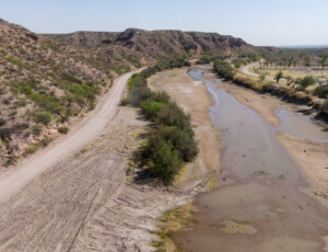 Drone view of the Rio Grande near Caballo Reservoir in southern New Mexico, on March 27, 2026. ©Mitch Tobin Usage rights are granted for editorial and nonprofit purposes only. No commercial or re-sale rights are granted without permission of the photographer.