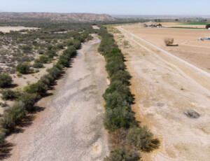 Drone view of the Rio Grande and surrounding farmland near Garfield, New Mexico, on March 27, 2026. ©Mitch Tobin Usage rights are granted for editorial and nonprofit purposes only. No commercial or re-sale rights are granted without permission of the photographer.
