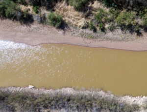 Drone view of the Rio Grande and surrounding farmland near Garfield, New Mexico, on March 27, 2026. ©Mitch Tobin Usage rights are granted for editorial and nonprofit purposes only. No commercial or re-sale rights are granted without permission of the photographer.
