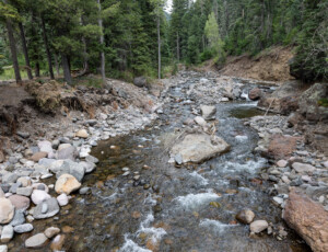 The West Fork of the San Juan River, near Pagosa Springs, Colorado, on June 24, 2026. ©Mitch Tobin Usage rights are granted for editorial and nonprofit purposes only. No commercial or re-sale rights are granted without permission of the photographer.
